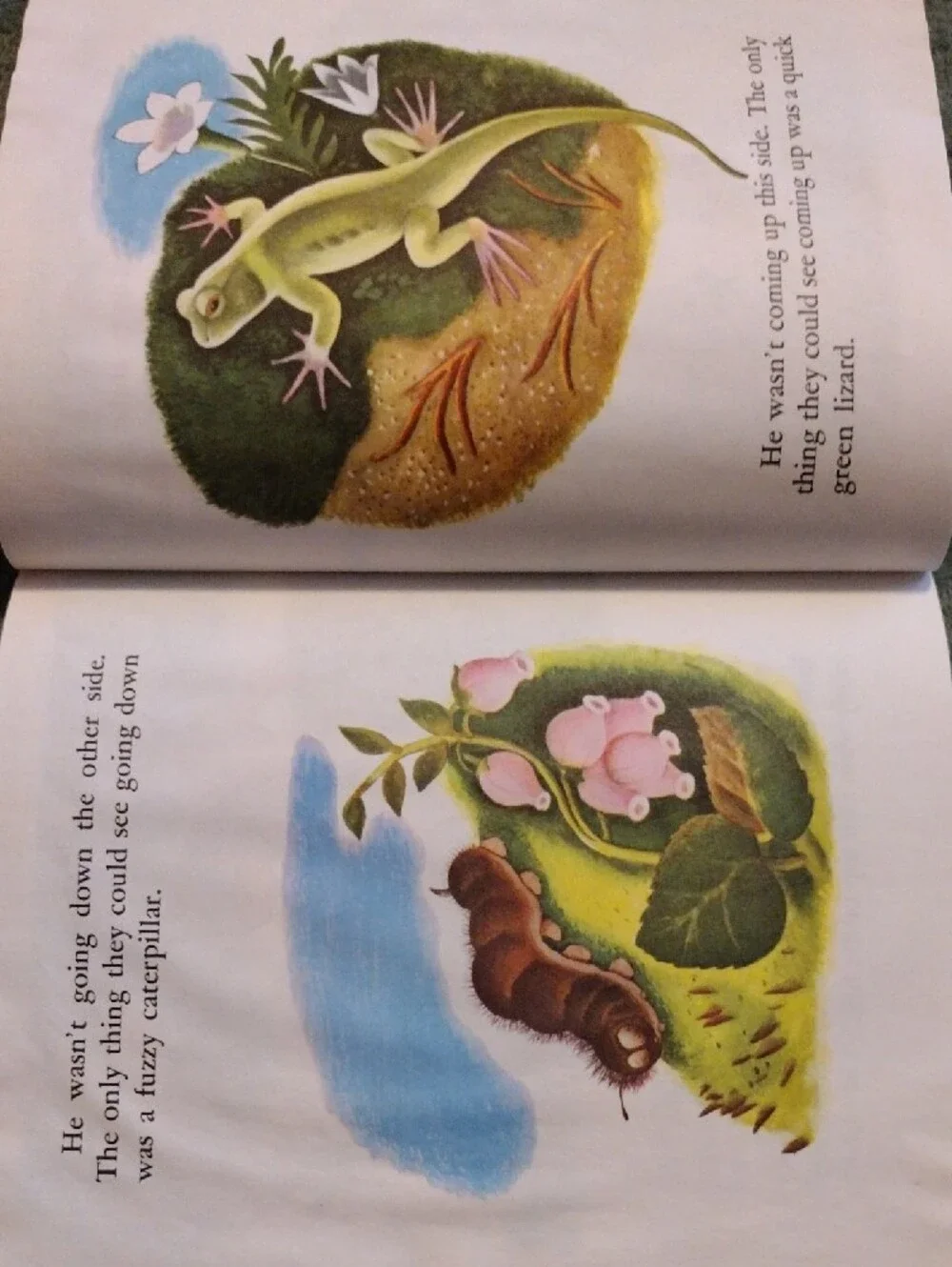 Little Golden Book picture all